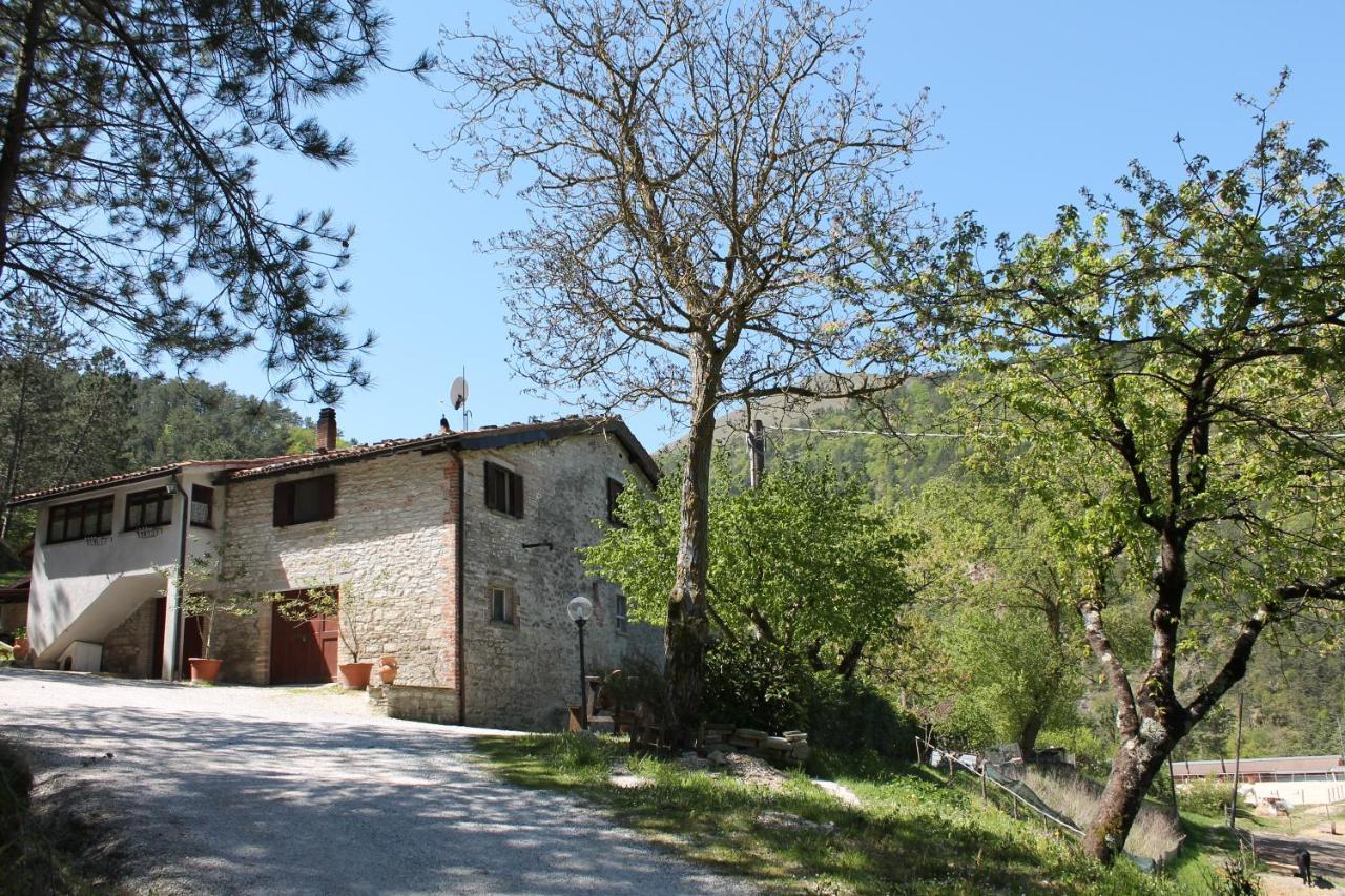 B&B Paradiso Γκούμπιο Εξωτερικό φωτογραφία
