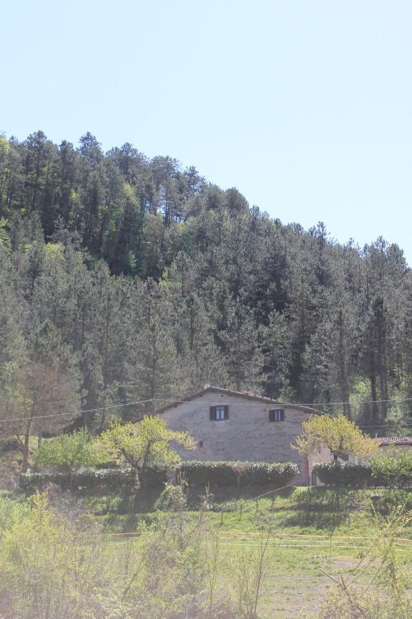B&B Paradiso Γκούμπιο Εξωτερικό φωτογραφία